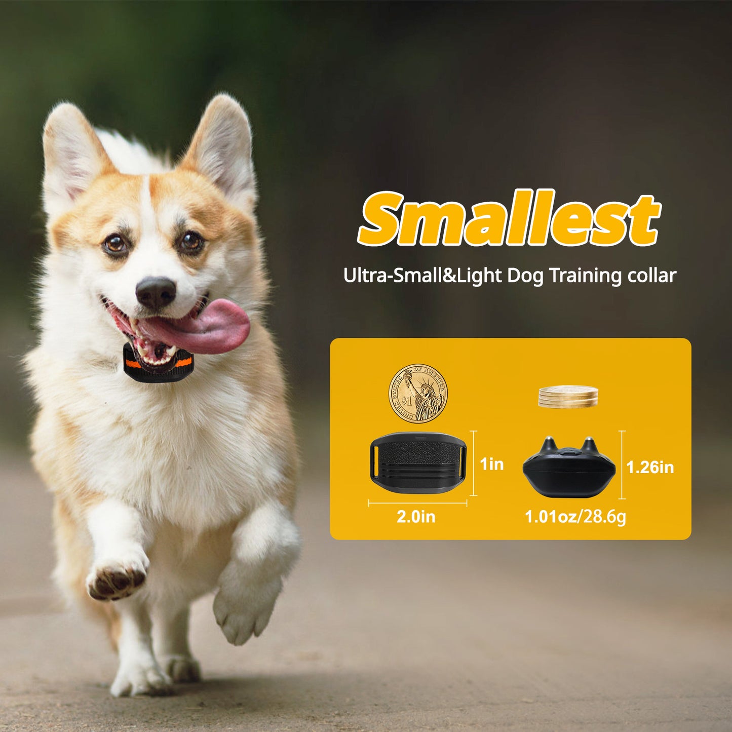 Ultra-Small & Lightweight Dog Training Collar with Remote - 3 Modes, Adjustable Levels, Fits All Sizes(black)