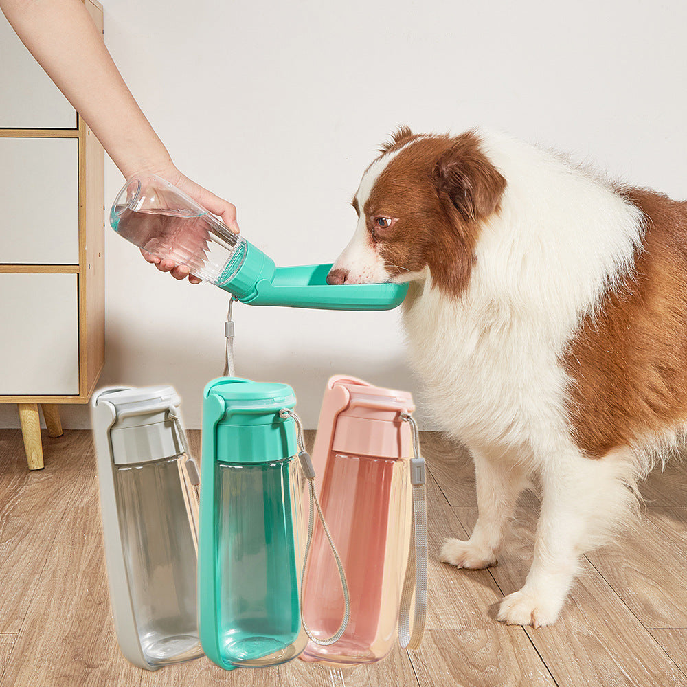 Portable Folding Dog Water Bottle 550Ml 